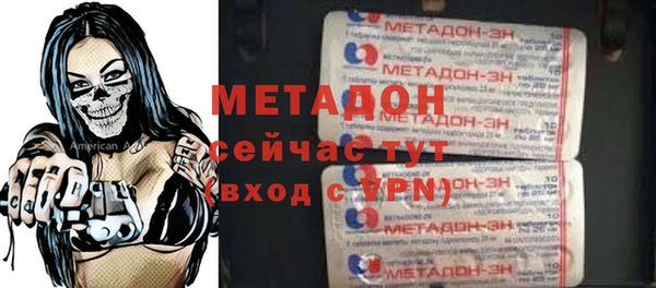 прущие грибы Абаза