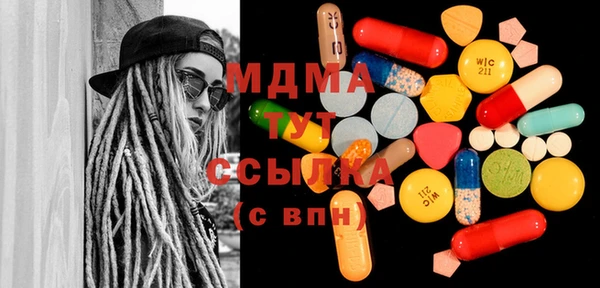 прущие грибы Абаза